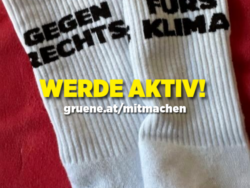 Zwei weiße Sportsocken mit schwarzem Text. Die linke Socke trägt die Aufschrift „GEGEN RECHTS“, die rechte Socke „FÜRS KLIMA“. Über den Socken ist der Text „WERDE AKTIV!“ in gelber Schrift sowie darunter die Webadresse „gruene.at/mitmachen“ zu sehen. Das Bild vermittelt eine Aufforderung zum Engagement für Klimaschutz und gegen rechte Ideologien.